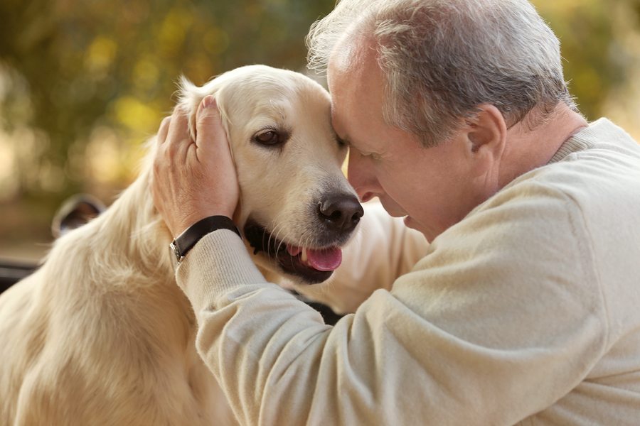 Caregiver in Folsom CA: Pets and the Holidays