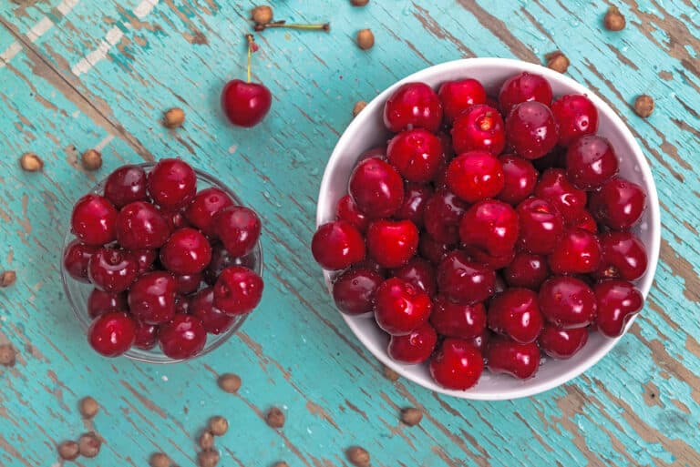 Senior Home Care: National Cherry Month in Davis, Ca